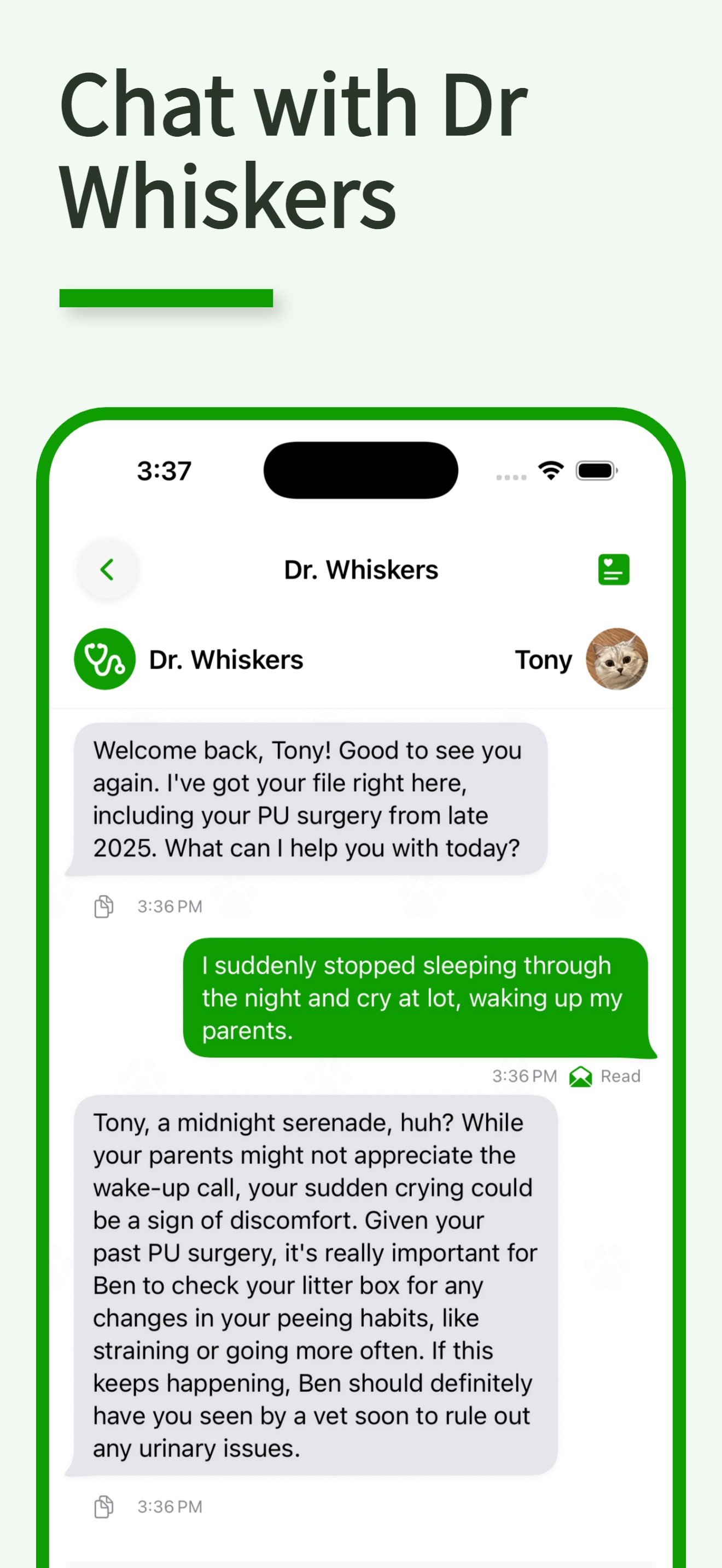 Chat with Dr Whiskers — AI pet health assistant