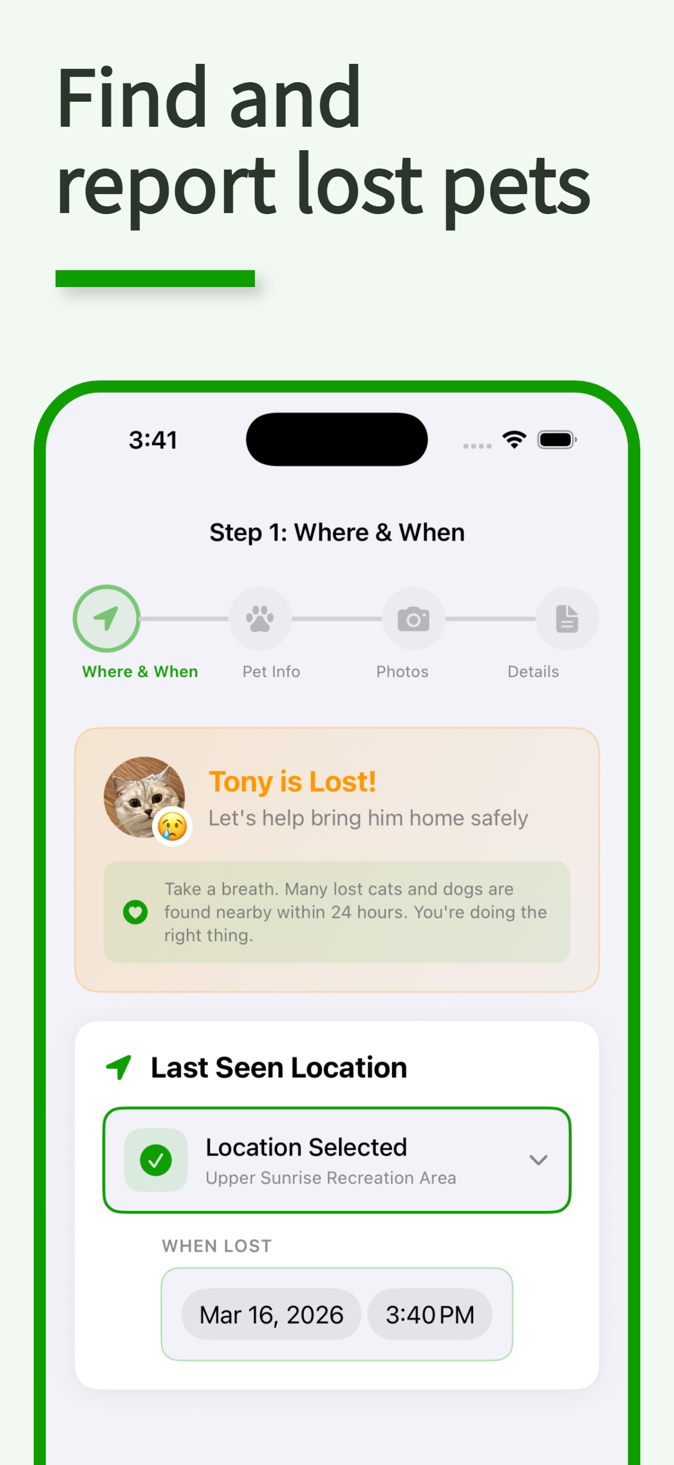 Find and report lost pets